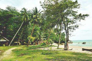 Plage tropicale dorée avec eaux turquoise dans le golfe de Thaïlande