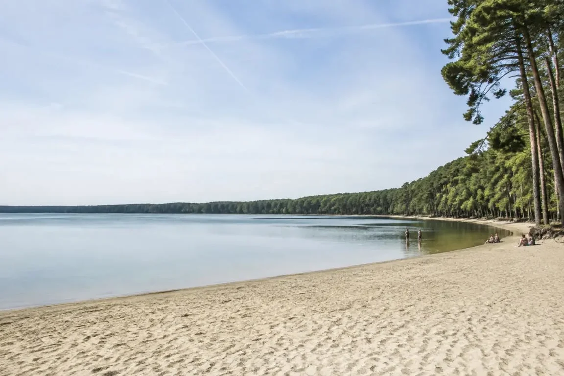 Plage lacustre de Biscarrosse près de Maguide ou Navarrosse
